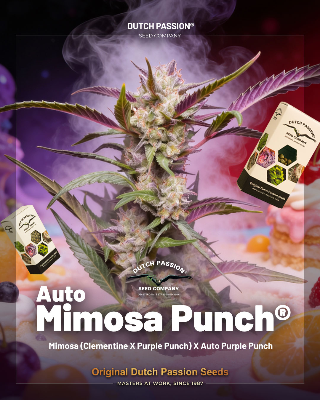 Auto Mimosa Punch
