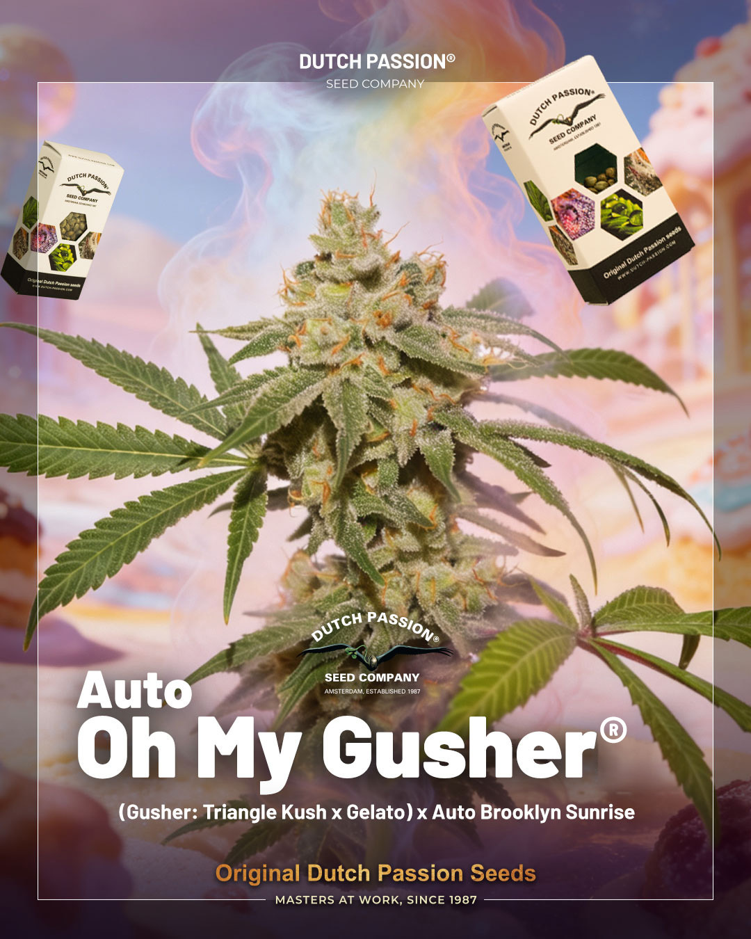 Auto Oh My Gusher
