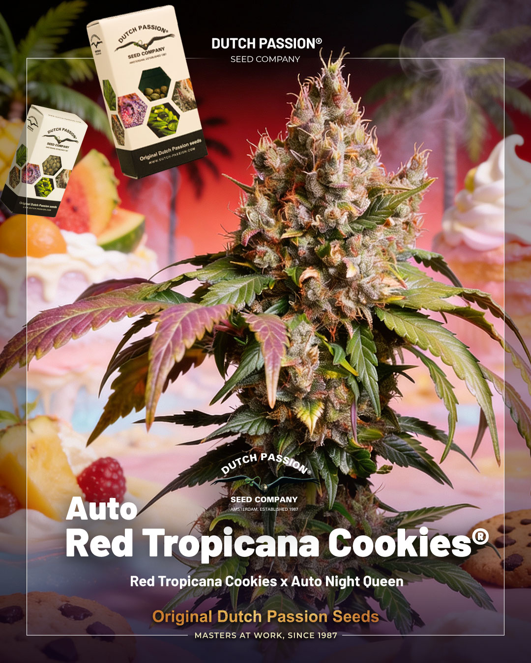 Auto Red Tropicana Cookies