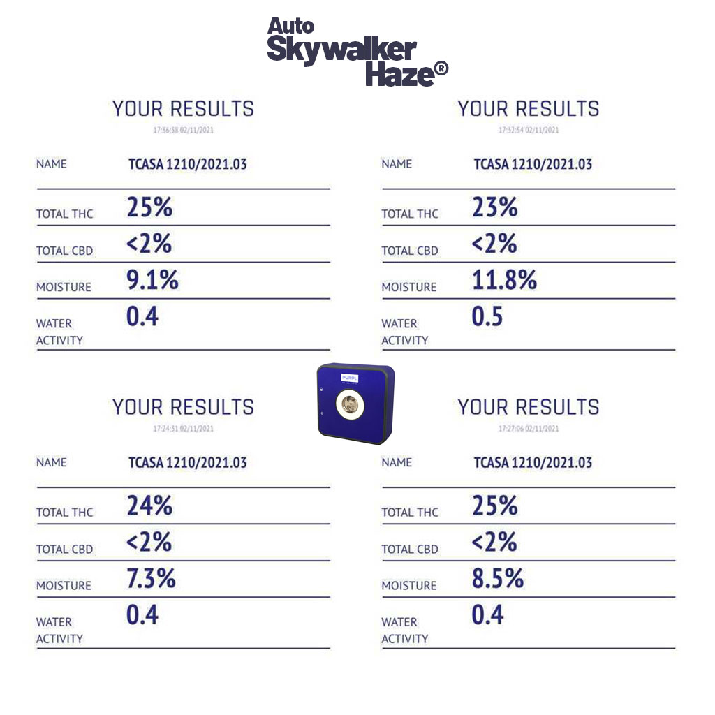 Auto-Skywalker-Haze-results-page-purple-pro-tests