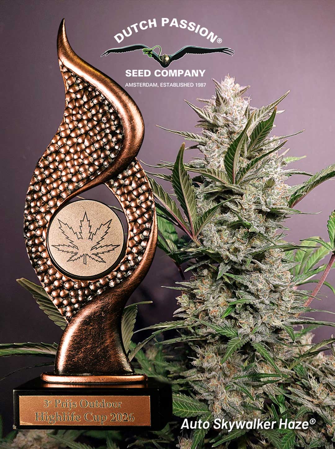Auto-Skywalker haze wins 3rd prize outdoor at highlife cup