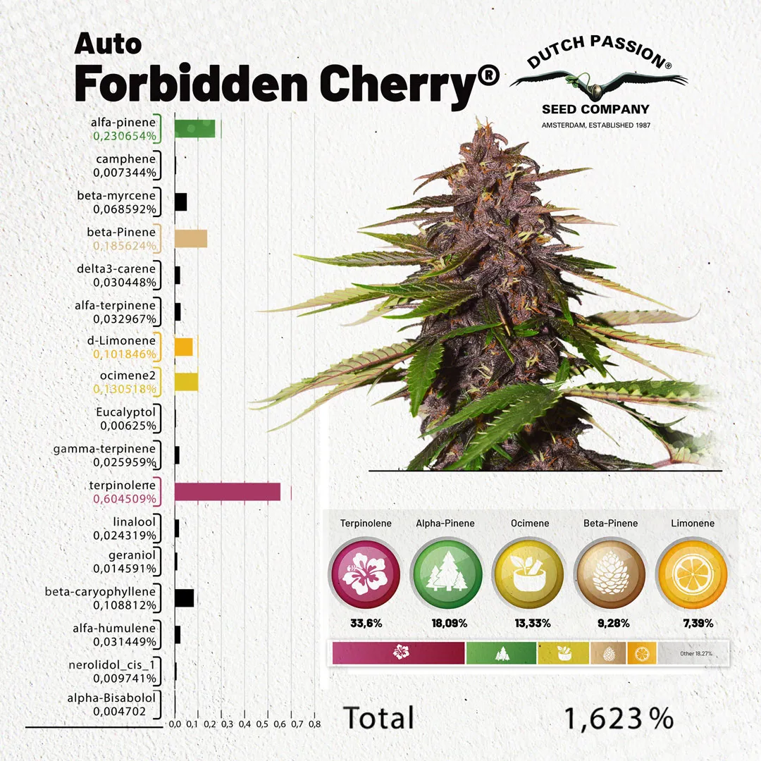 Auto Forbidden Cherry Terpenes overview