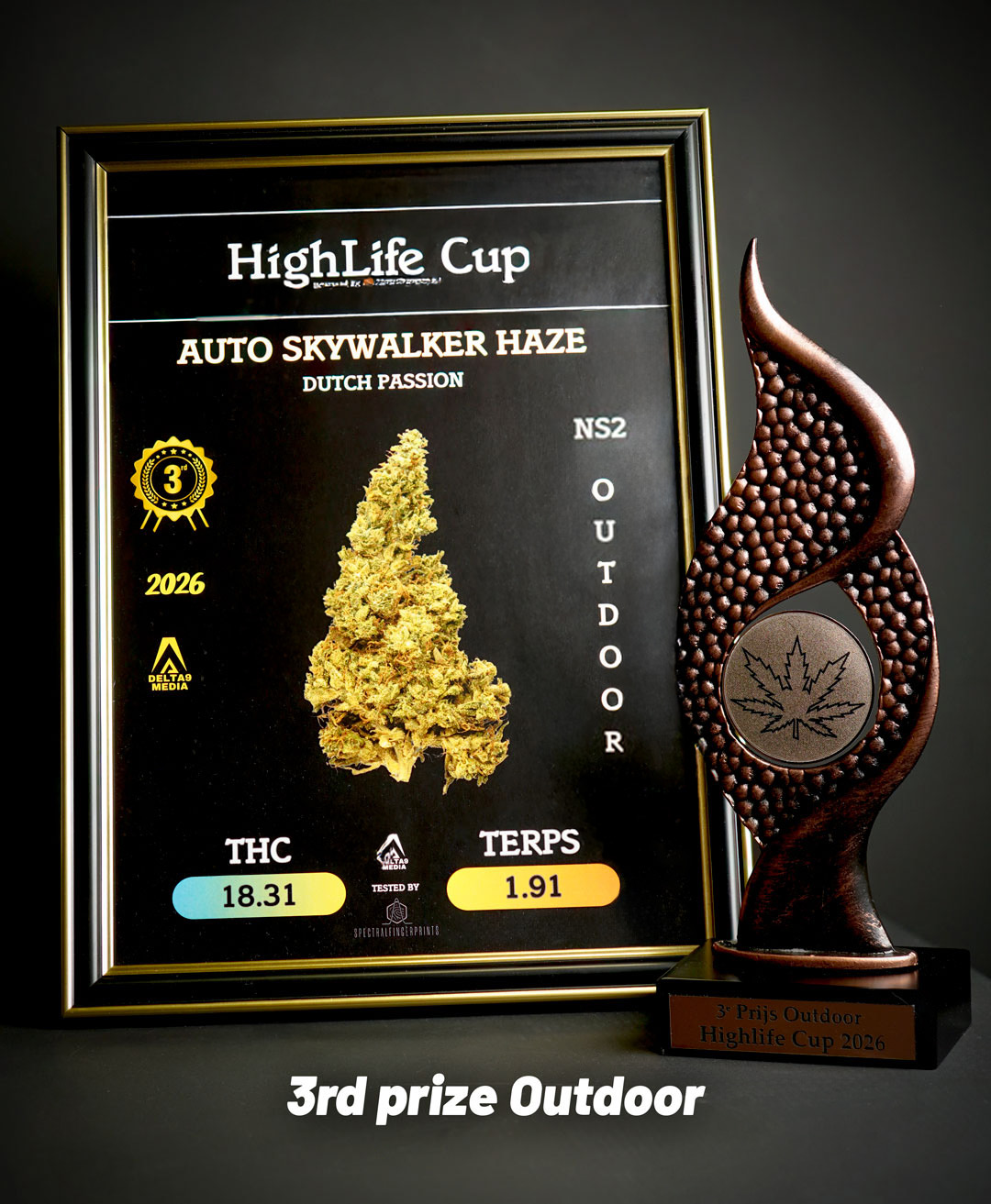 Auto skywalker haze prize at the highlife cup 2026