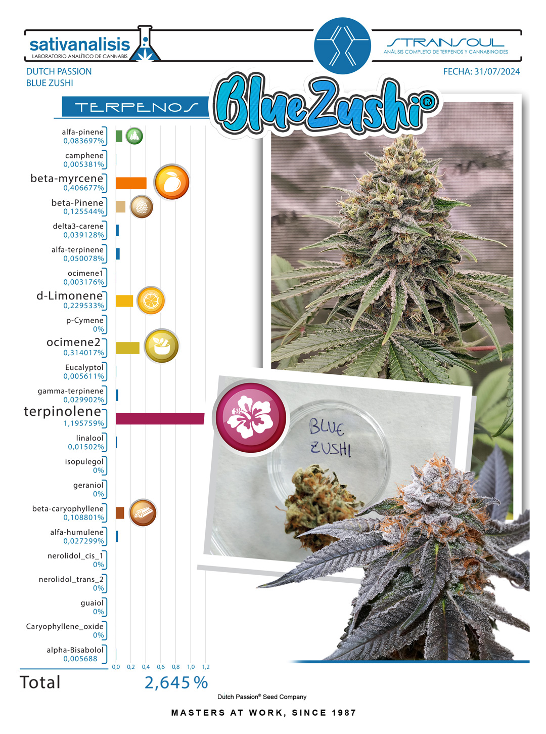 Blue Zushi (Kush Mints x Zkittlez) - record breaking 2.6% total terpene content!