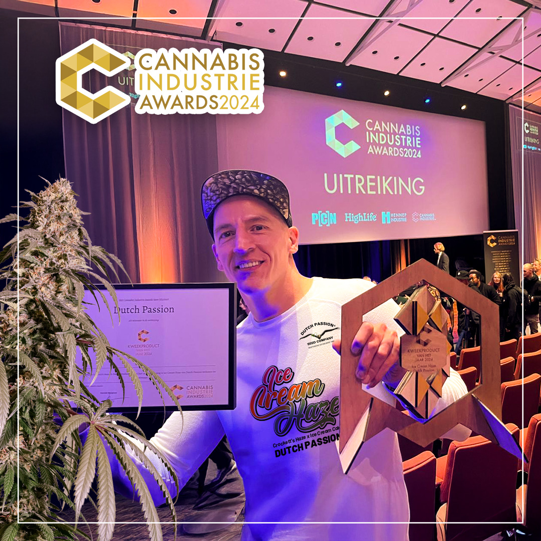 Cannabis-industry-awards-Ice-Cream-haze