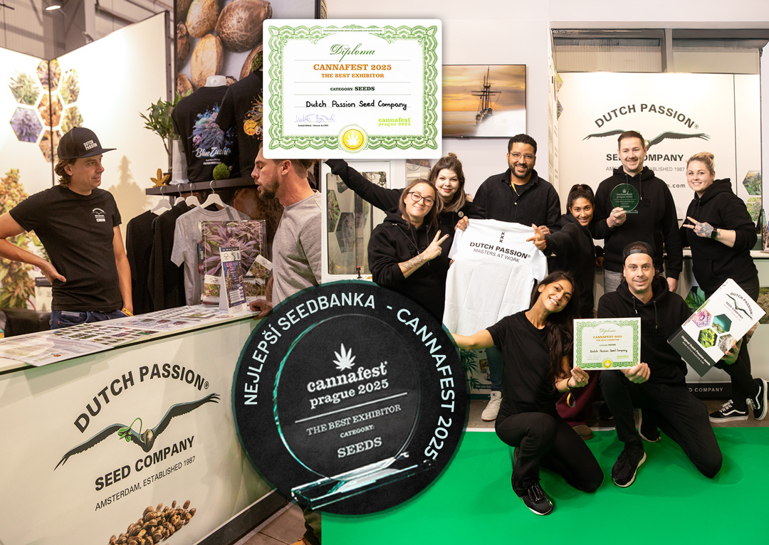 Cannafest Dutch Passion