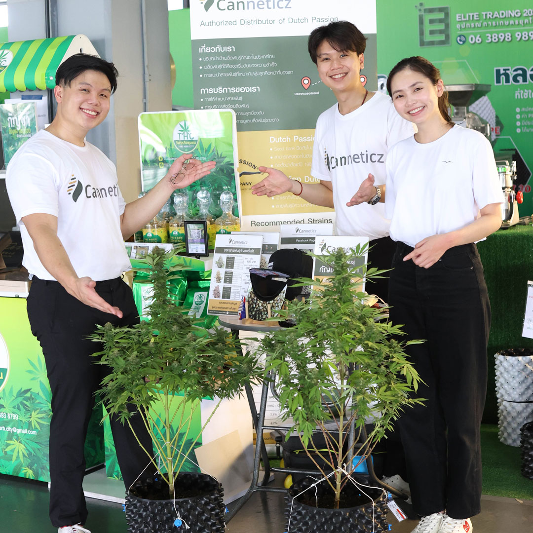Canneticz x Dutch Passion Thailand Cannabis Expo (1)