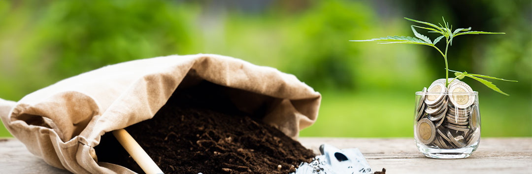 Costs-of-Organic-vs-mineral-nutrient