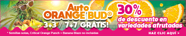 Summer Fruit Festival