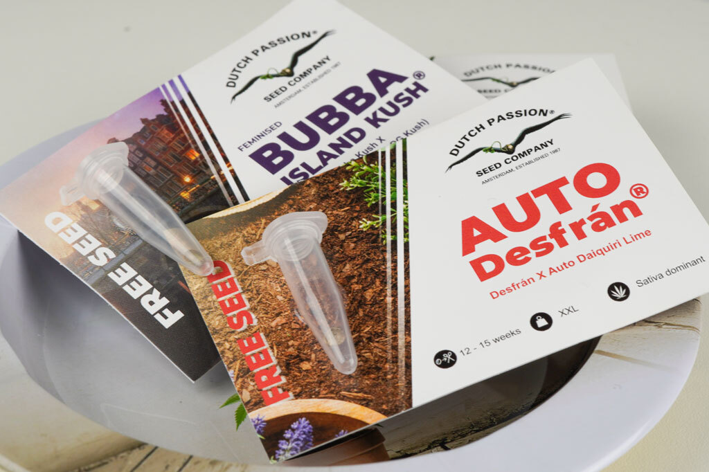 Dutch Passion free cannabis seeds packaging