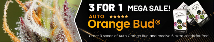 EN-714x141-SOOQER-banner