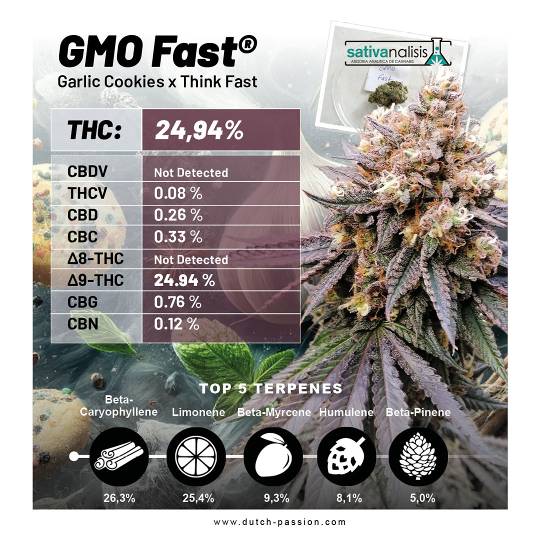 GMO-Fast-Lab-results-image