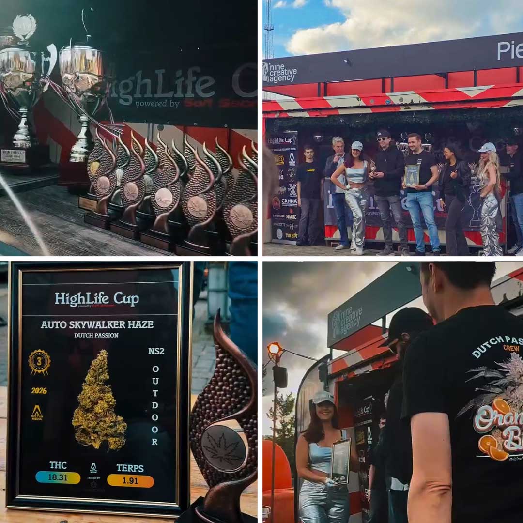 Highlife cup 2026 dutch passion