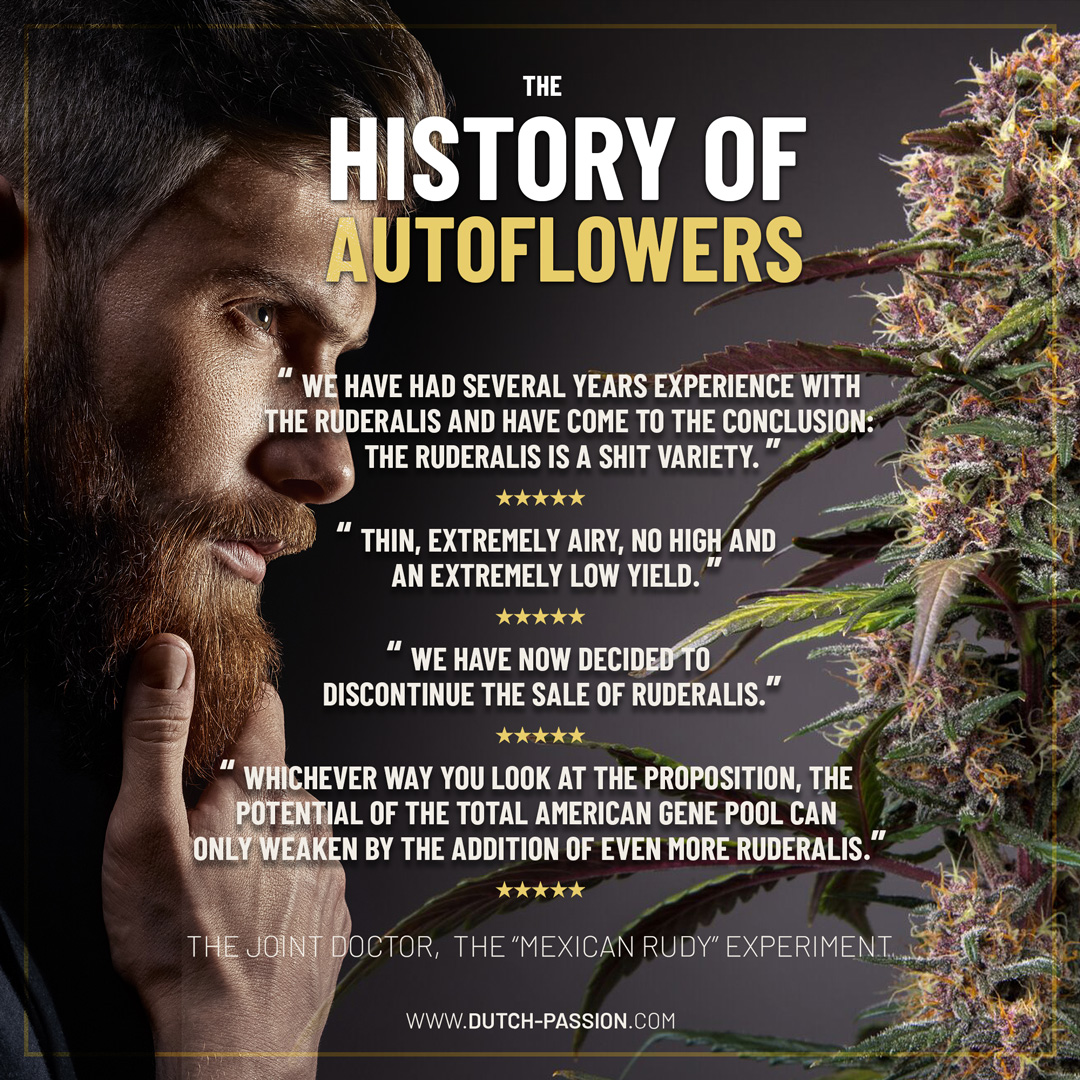 History of autoflowers