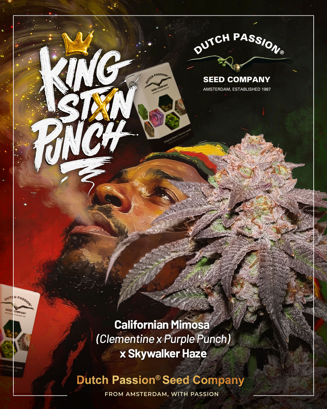 Dutch Passion introducing Fruit Bomb Punch cannabis seeds