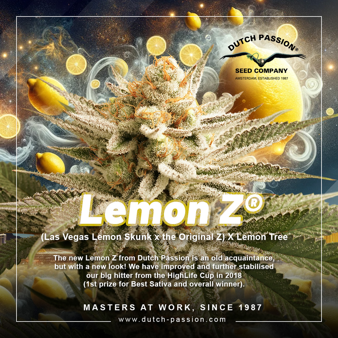 Lemon-Z-IG-1080