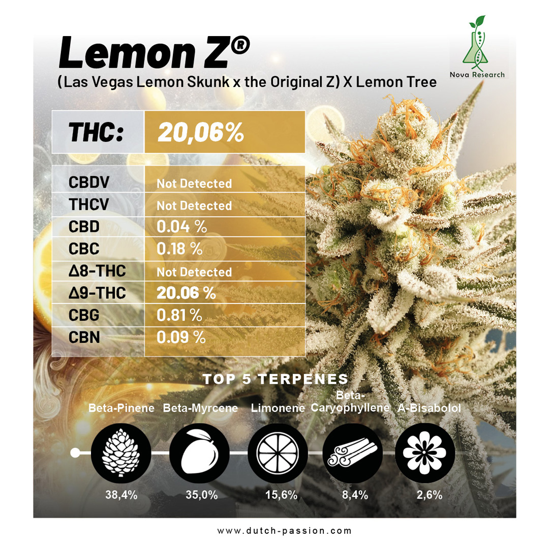 Lemon-Z-lab-results-image
