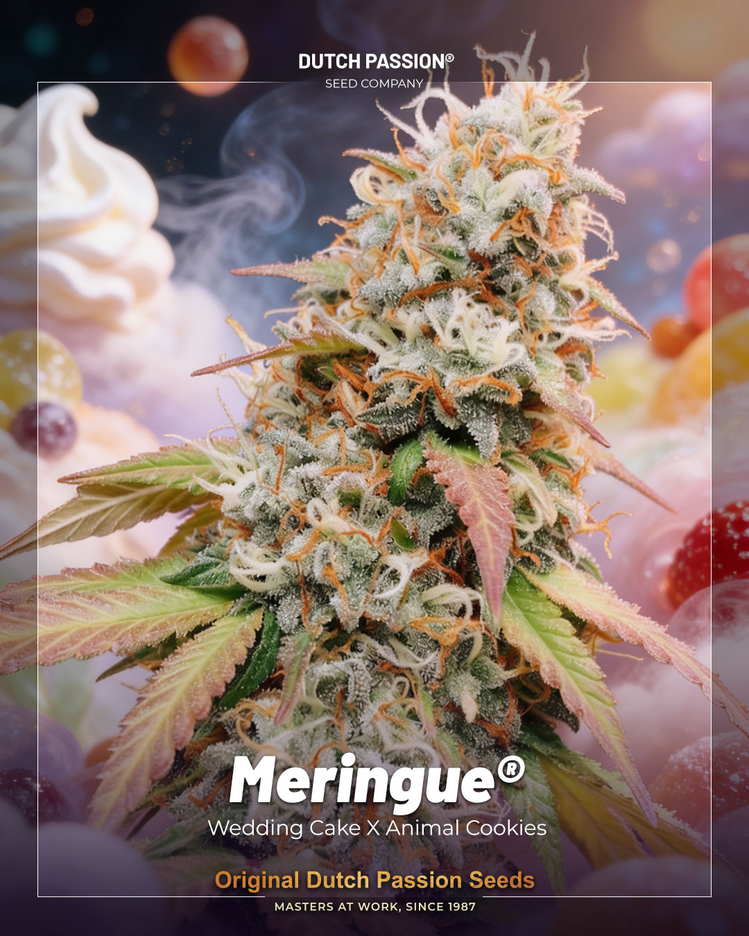 Meringue dessert 1080x1350 dp frame