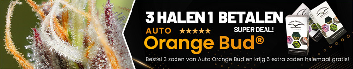 NL-714x141-SOOQER-banner
