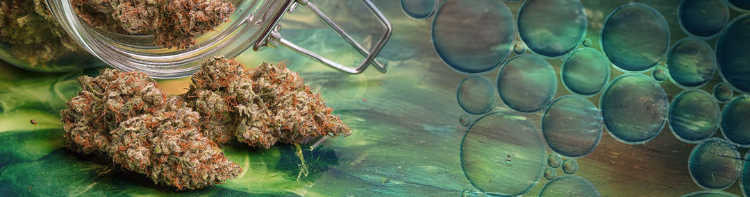 Oxygen-Exposure-can-cause-terpene-degradation