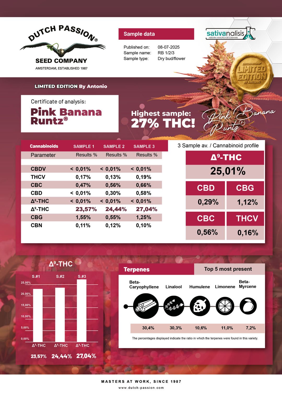 Pink-Banana-Runtz-Limited-Lab-results-Dutch-Passion-style