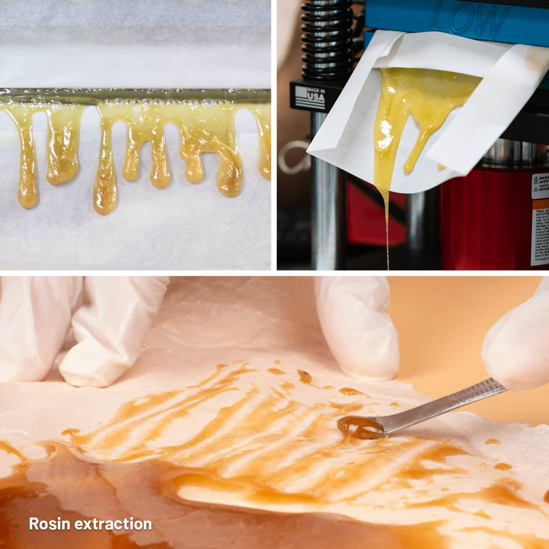 Rosin-extraction-by-press-with-heat-cannabis-extracts