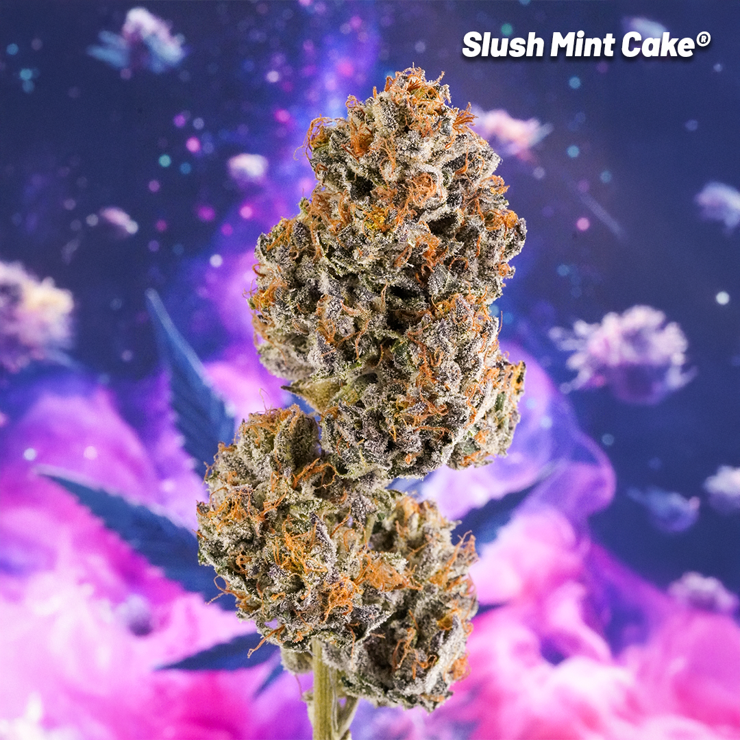 Slush-Mint-Cake-Bud-by-Antonio
