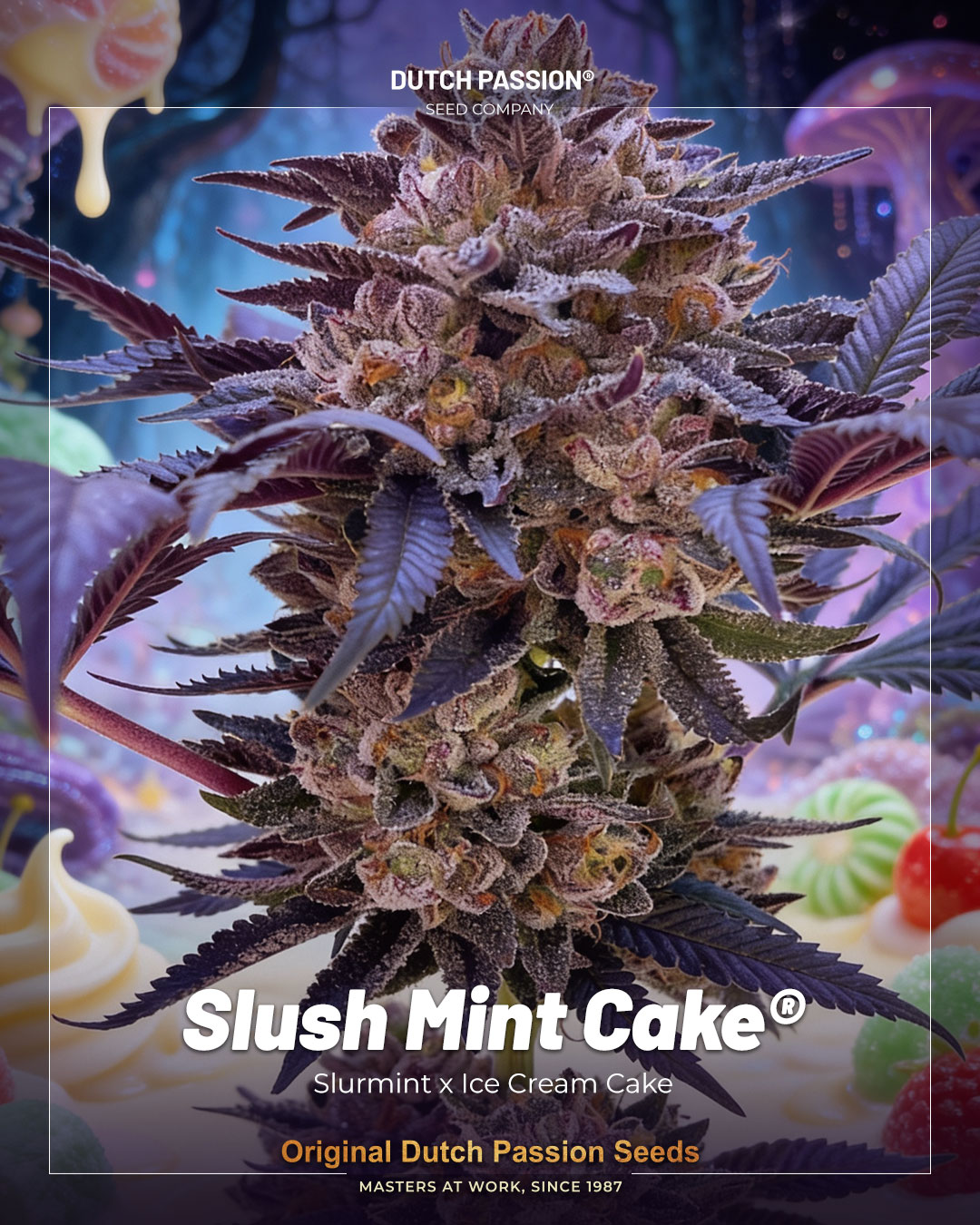 Slush Mint Cake dessert 1080x1350 dp frame