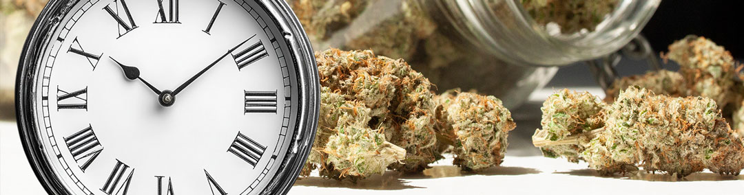 Storage-Time-can-cause-terpene-degradation