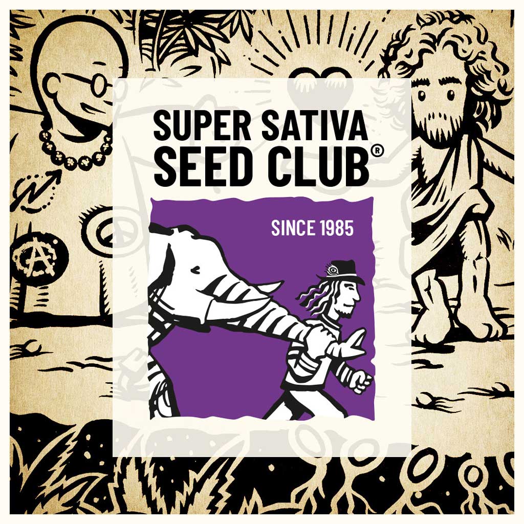 Super-Sativa-Seed-Club-promotions-in-2022