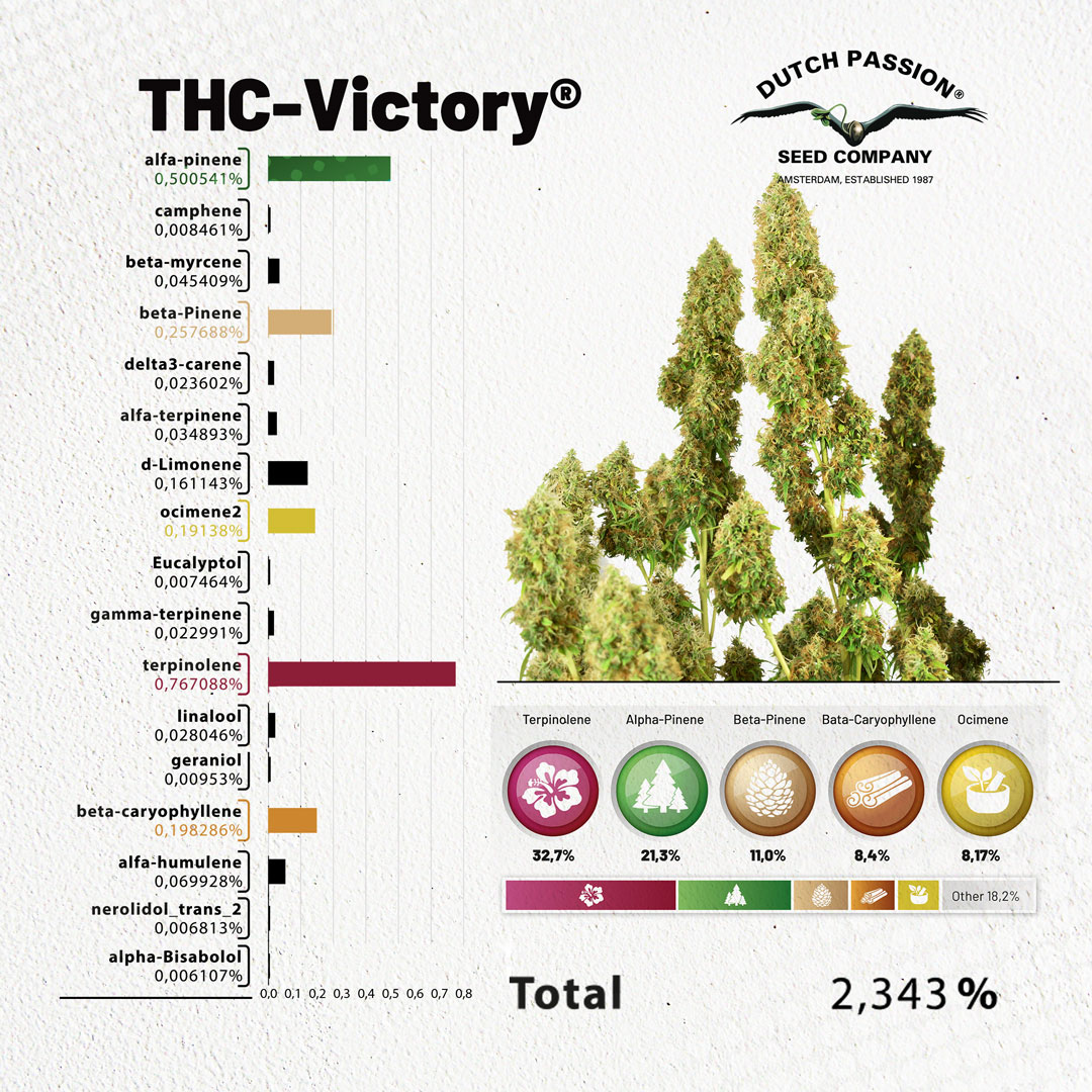 THC-Victory-terpenes-over-1-procent