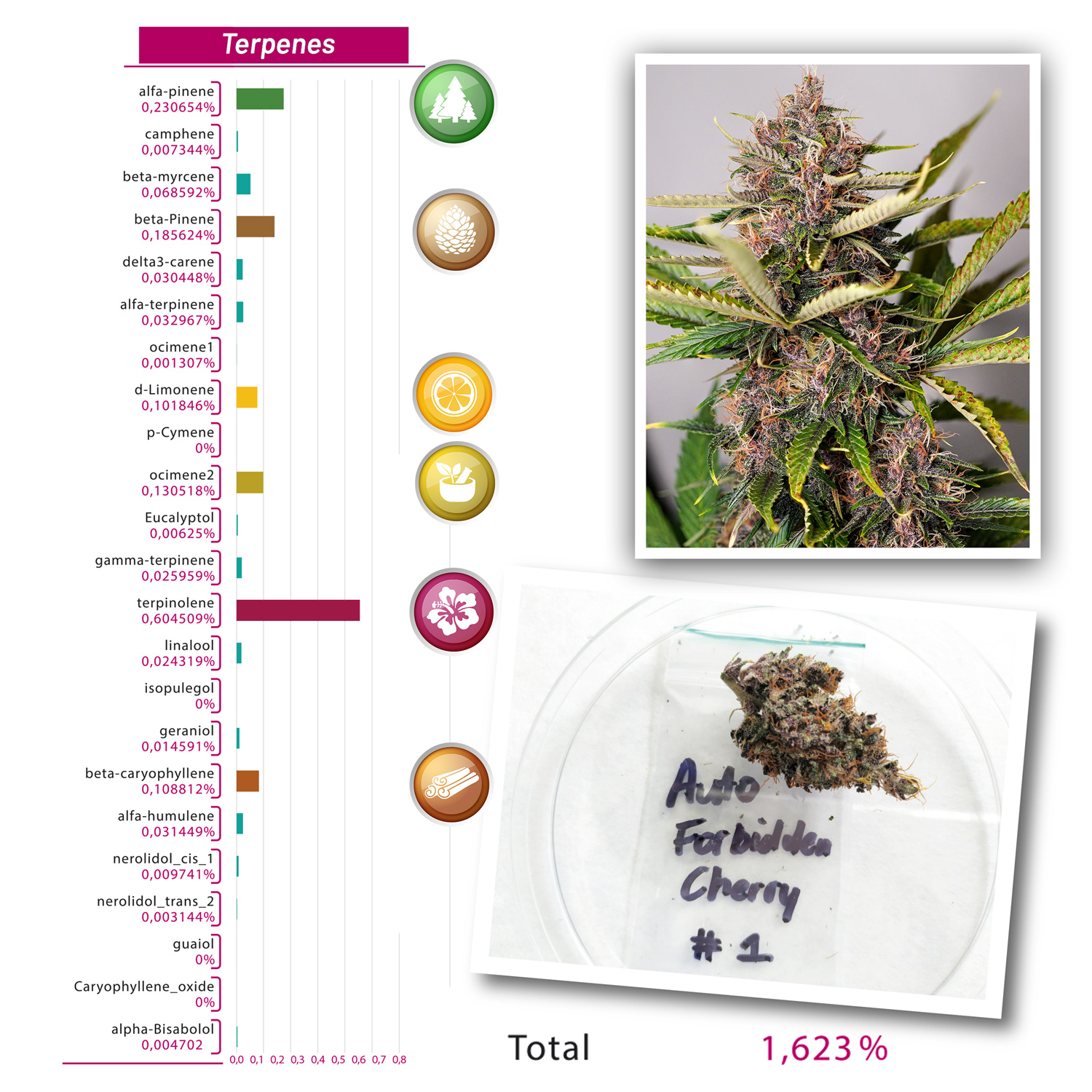 Terpenes-Auto-Forbidden-Cherry(1)