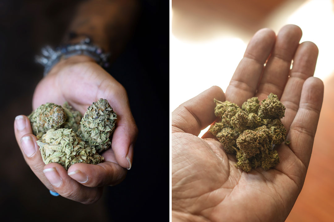 big-cannabis-nuggets-vs-popcorn-flowers