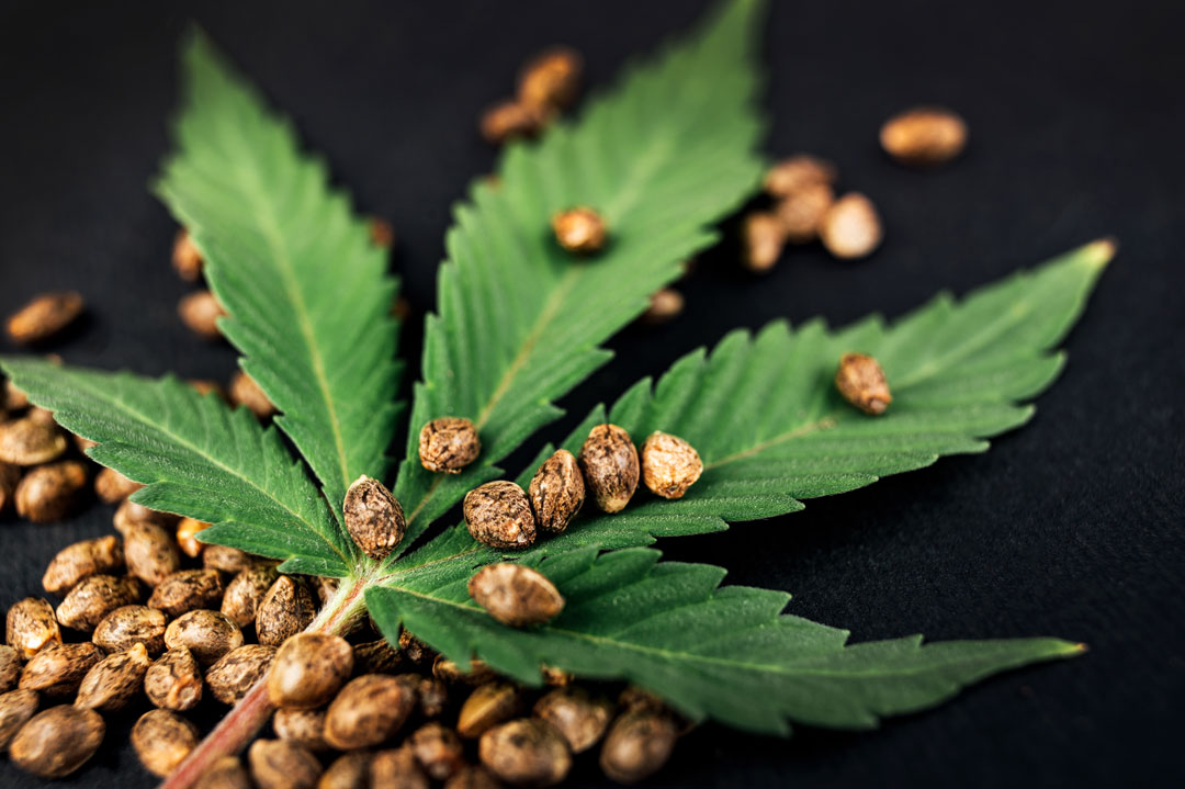 Why many US growers are planning ahead