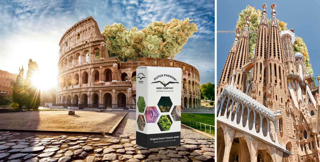 cannabis-expos-and-cannabis-laws-in-europe