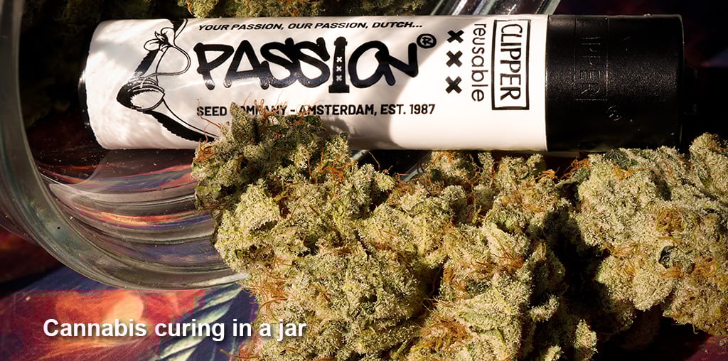 curing-your-cannabis