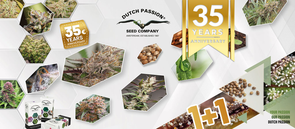 dutch-passion-promotions-promo-codes-and-discounts