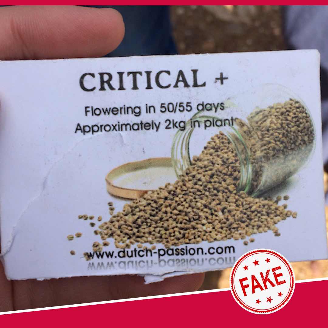 Fake Dutch Passion cannabis seeds packaging 1
