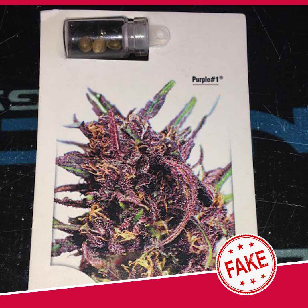 Fake Dutch Passion cannabis seeds packaging 2