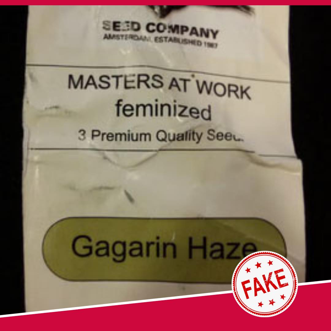 Fake Dutch Passion cannabis seeds packaging 3