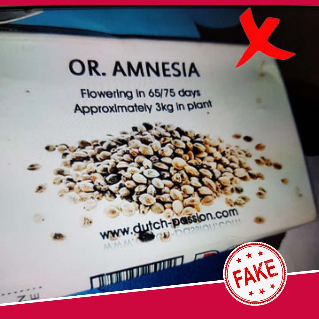Fake Dutch Passion cannabis seeds packaging 5