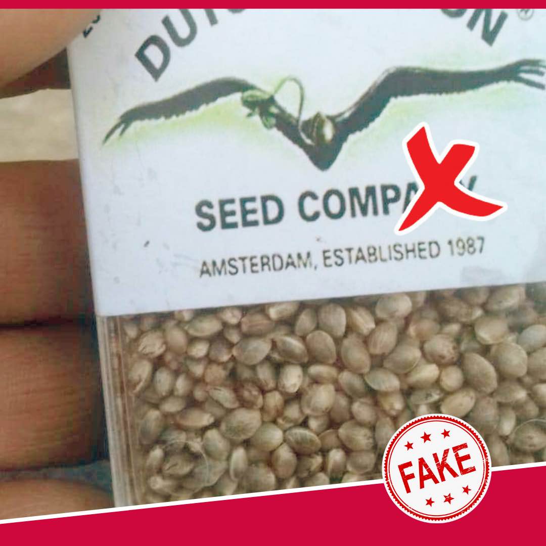 Fake Dutch Passion cannabis seeds packaging 6