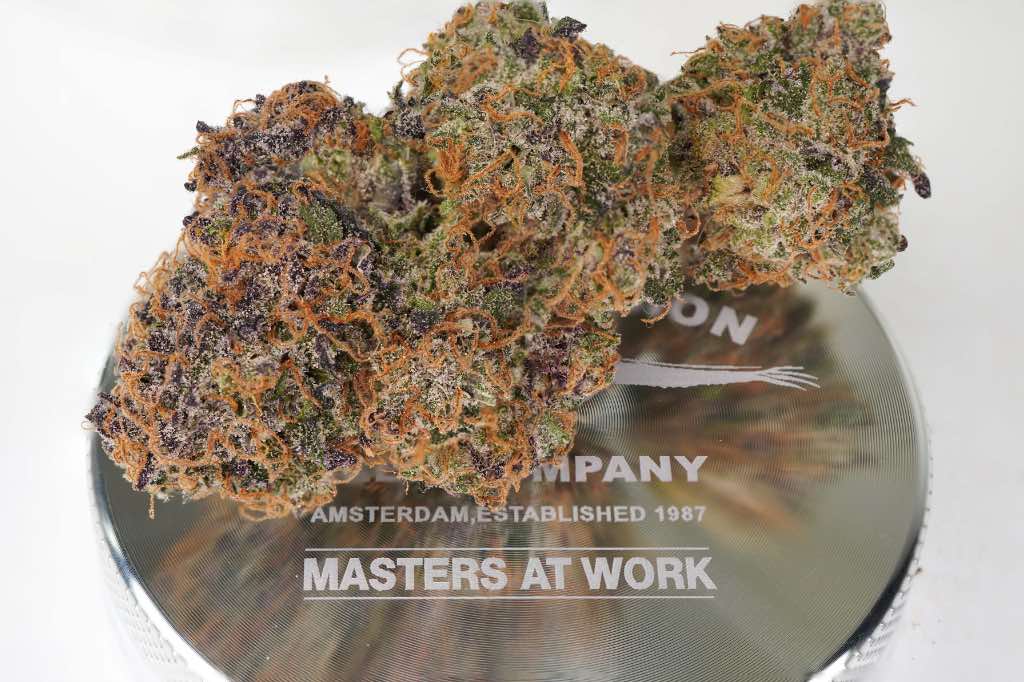Buy Dutch Passion cannabis flowers in Thailand