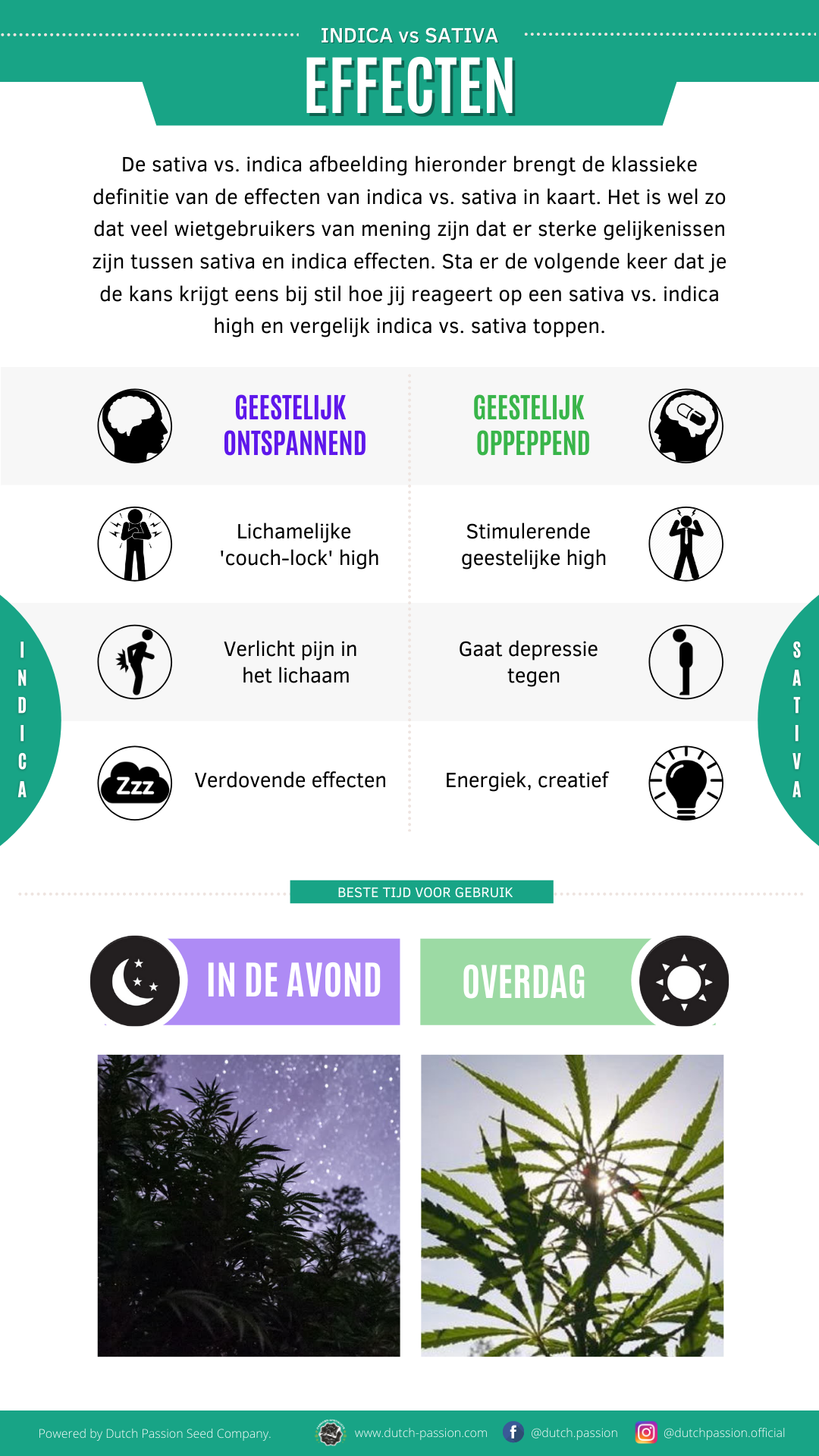 Indica vs Sativa Effecten