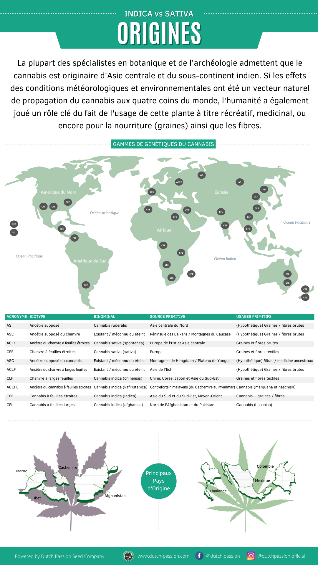 Indica vs Sativa Origines