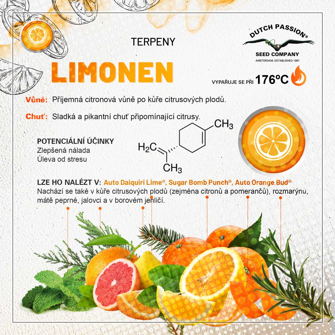 Limonen Konopne terpeny Vune chu a ucinky