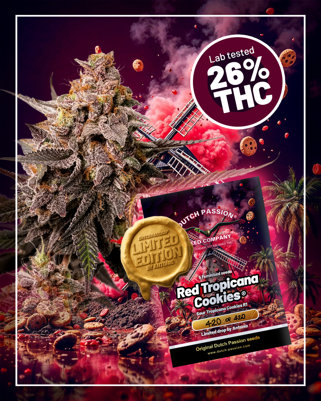 red-tropicana-cookies-is-lab-tested-cannabis-strain-with-extreme-thc-potency