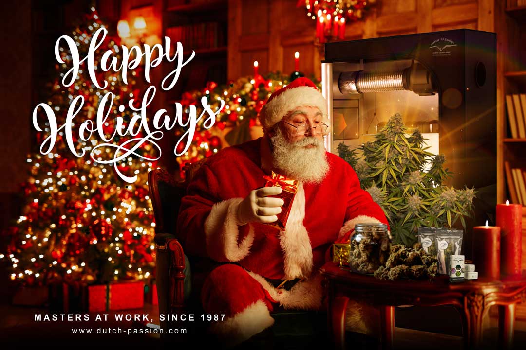 santa-claus-image-with-grow-tent-dutch-passion-holidays