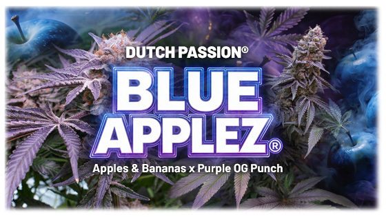 Blue Applez