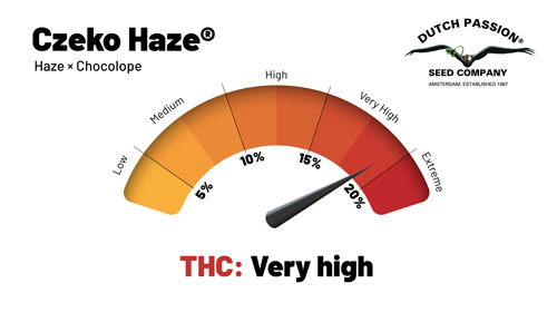 Czeko Haze® THC (15-20%)
